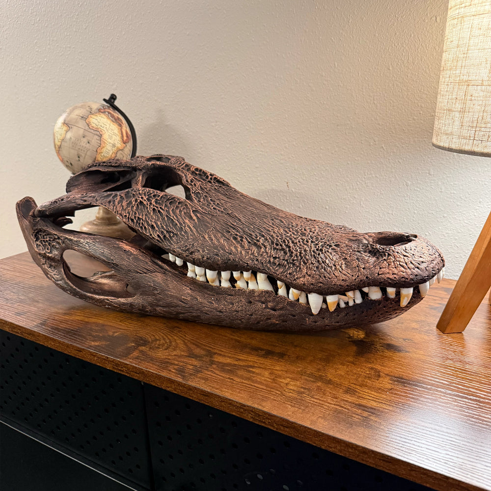 Custom skull finishes