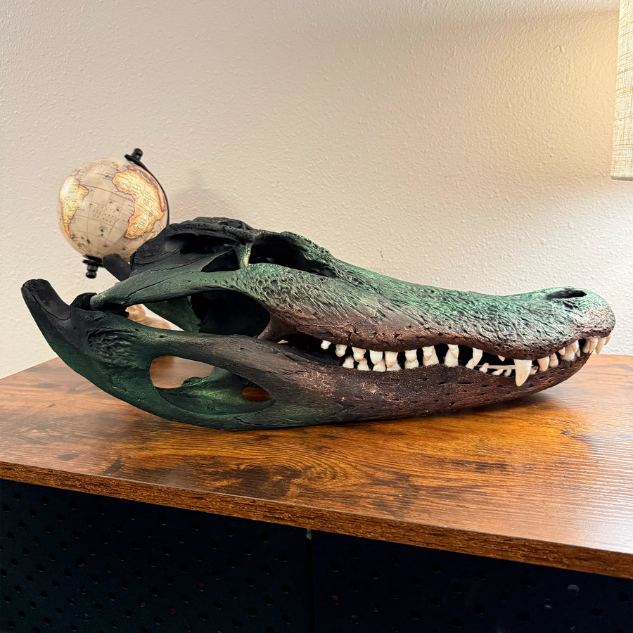 Bronze custom-finished alligator skull
