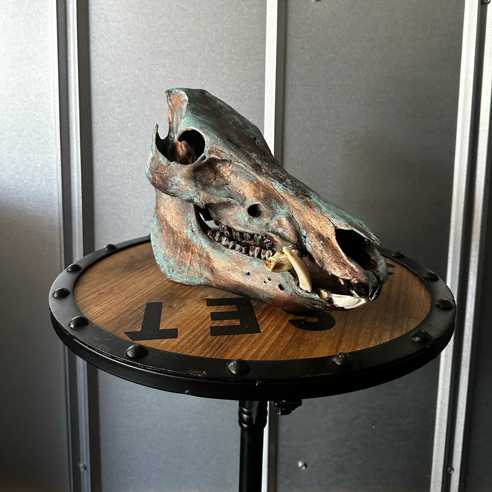 Patina / Corroded Copper