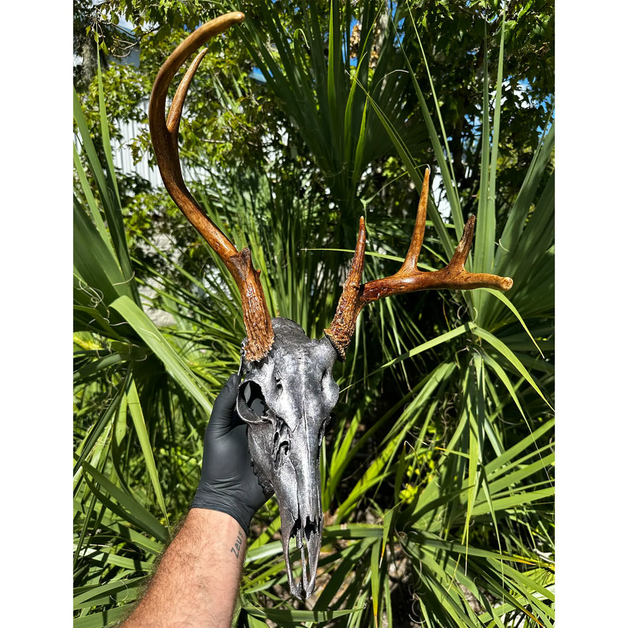 Deer skull